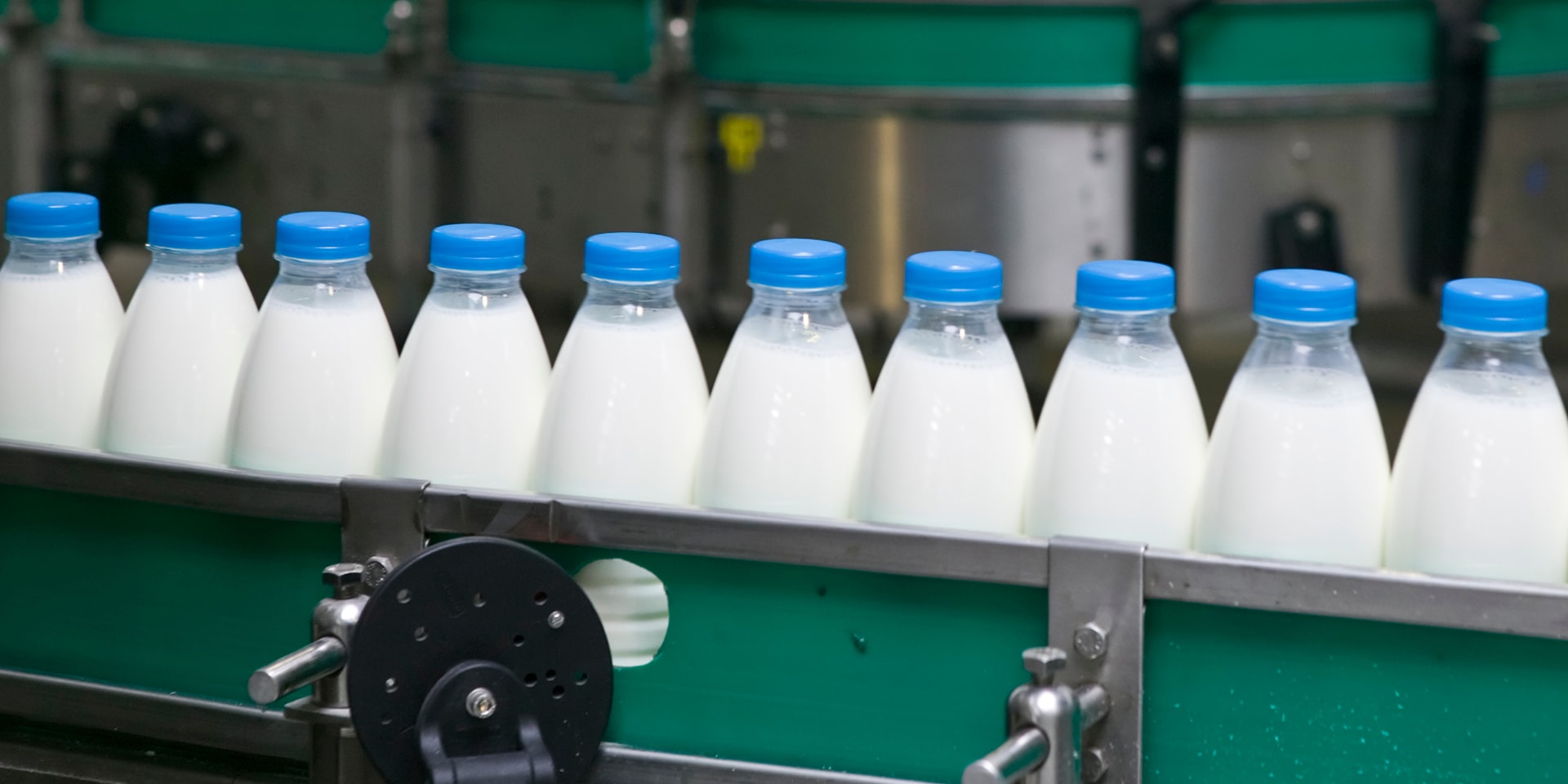 Производство молока и молочных продуктов: отраслевая экспертная конференция